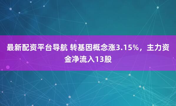 最新配资平台导航 转基因概念涨3.15%，主力资金净流入13股